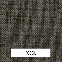 Fossil